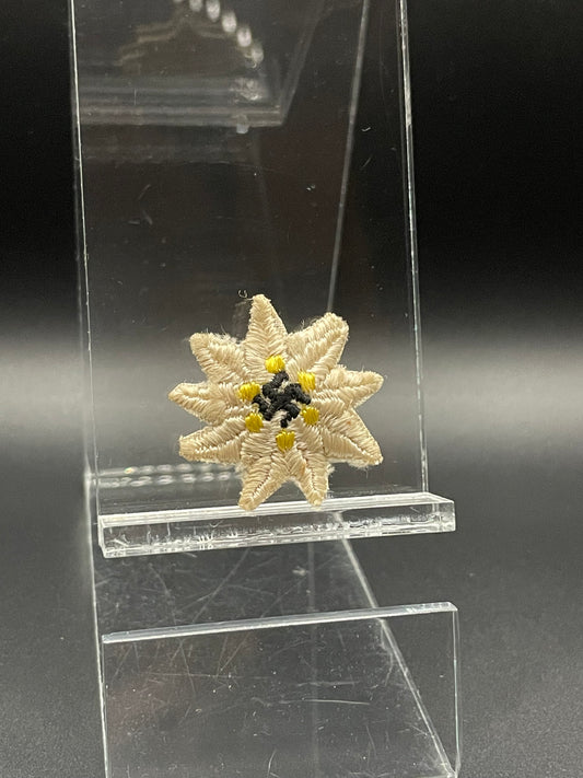 GERMAN PRE WW2 1933-1934 WINTERHILFSWERK “WHW” GAU SACHSEN EDELWEISS EMBROIDERED BADGE RARE