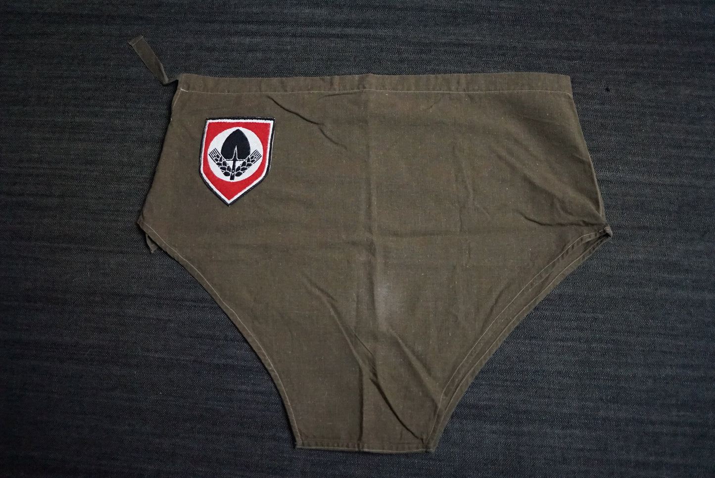GERMAN WW2 REICHSARBEITSDIENST RAD ATHLETIC SPORT SHORTS UNISSUED