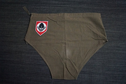 GERMAN WW2 REICHSARBEITSDIENST RAD ATHLETIC SPORT SHORTS UNISSUED