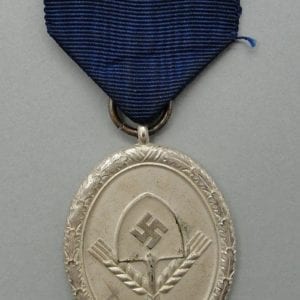 RAD 12 Year Long Service Medal for Men
