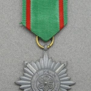 Ostvolk Decoration for Bravery, Second Class in Gold